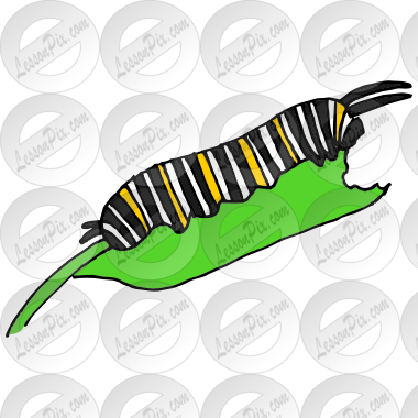 Caterpillar