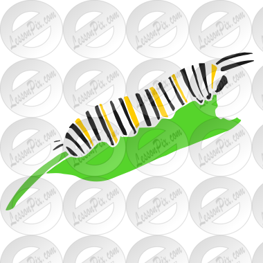 Caterpillar
