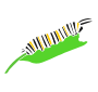 Caterpillar