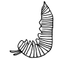 Caterpillar J Form