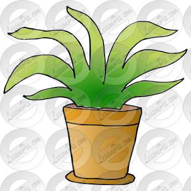 Plant Picture