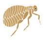 Flea
