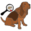 Fleas