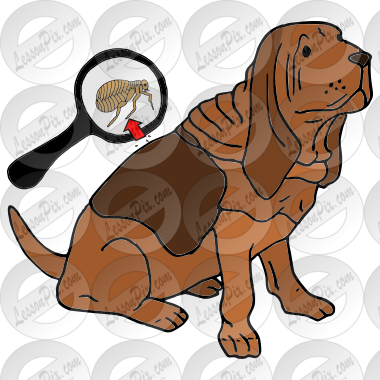 Fleas