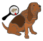 Fleas