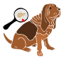 Fleas