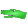 Alligator Picture