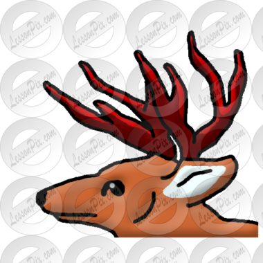 Antler Picture
