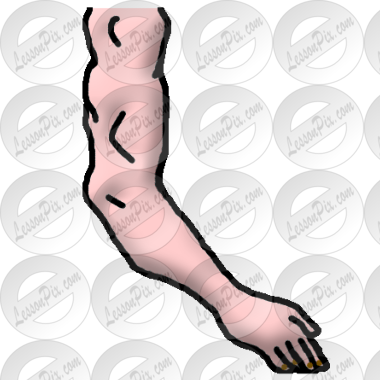 Arm