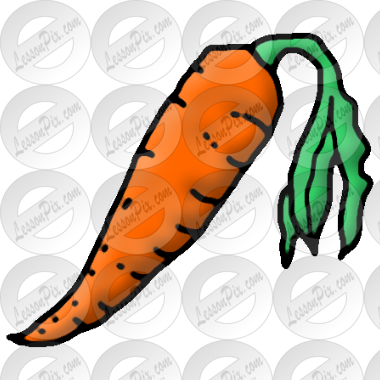 Carrot  Picture