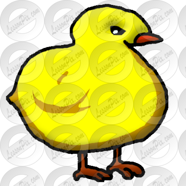Chick