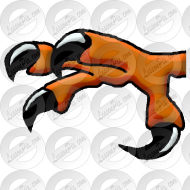 Claw