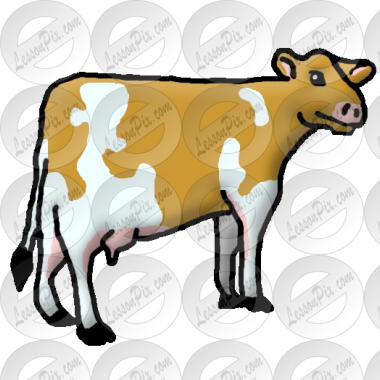 Cow