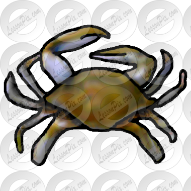 Crab