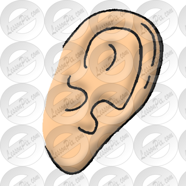 Ear