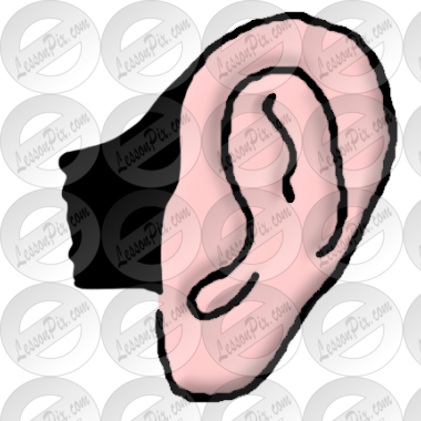 Ear