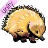 Echidna Picture