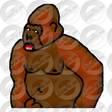 Gorilla