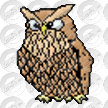 Owl Picture