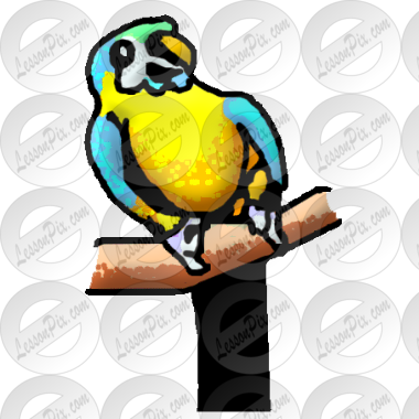 Parrot