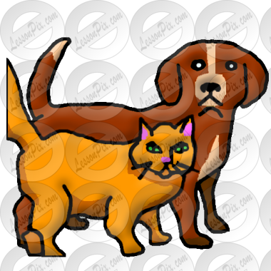 Pet