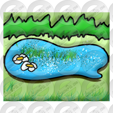 Pond