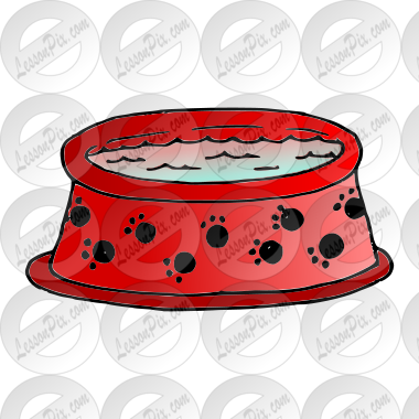 Dog Water