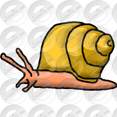 Snail