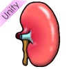 Kidney Picture