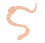 Earthworm Stencil