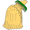Lice  Picture