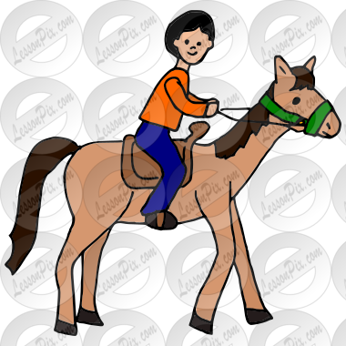 Rider