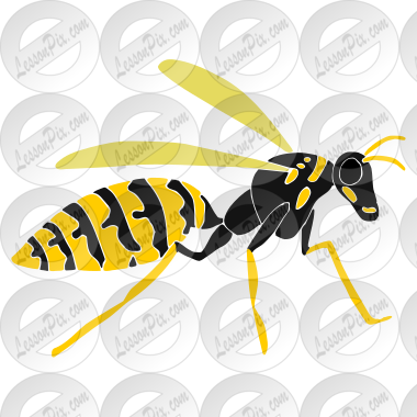 Wasp