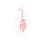 Digestive System Stencil