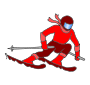 Skier