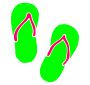 Flip Flops