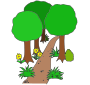 Dirt Path