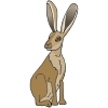 Jackrabbit