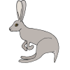 Jackrabbit