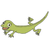 Lizard