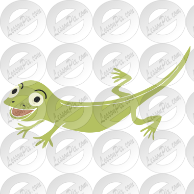 Lizard