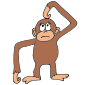 Confused Monkey Picture