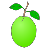 Guava Picture