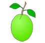 Guava  Picture