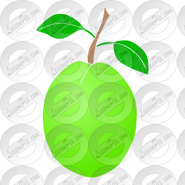 Guava  Stencil