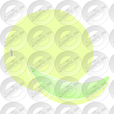 Honeydew