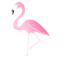 Flamingo Stencil