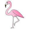 Flamingo Picture