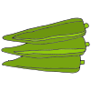 Okra