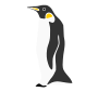 Penguin Stencil